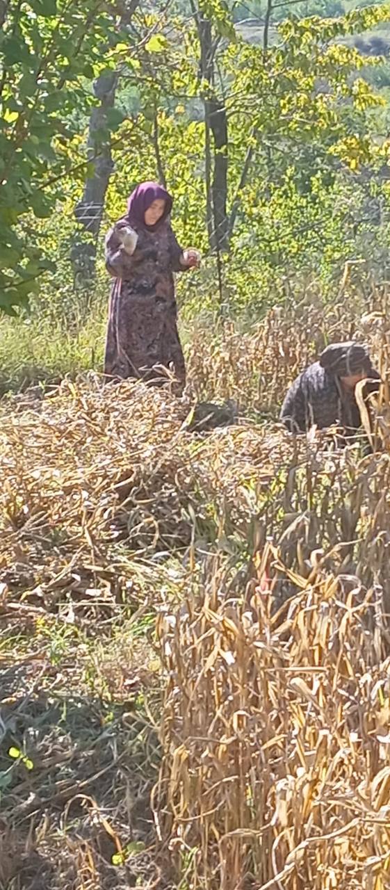 Оказывает социально-бытовые  услуги.