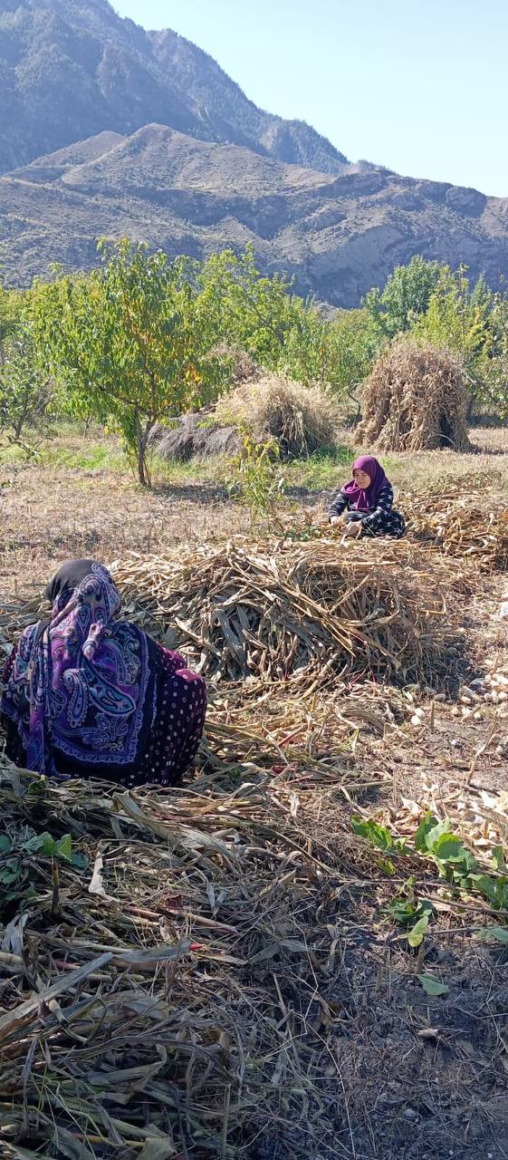Оказывает социально-бытовые  услуги.